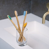 Eco Biobased Bamboo Toothbrush